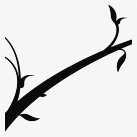 Transparent Tree Branch Silhouette Png - Branch Of Tree Black And White Clipart, Png Download, Free Download