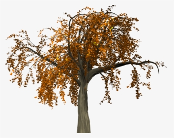 Autumn Tree Branch Free Clipart Hd Clipart - Png Tree Autumn, Transparent Png, Free Download