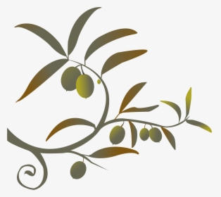 Deeply Connected - Transparent Transparent Background Clipart Olive Branch, HD Png Download, Free Download