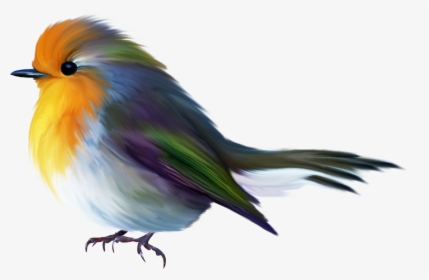 Bird Paintings Png, Transparent Png, Free Download