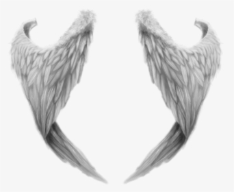 Fantasy Angel Wings - Realistic Angel Wings Drawing, HD Png Download, Free Download