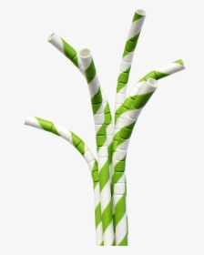 Planet Editor - Paper Straws No Background, HD Png Download, Free Download