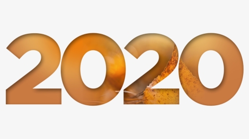 2020 Orange, HD Png Download, Free Download