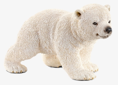 Polar Bear, HD Png Download, Free Download