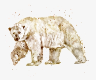 Clip Art Polar Bear Watercolor - Watercolor Bear Transparent Background, HD Png Download, Free Download