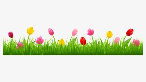 With Colorful Tulips Png - Grass With Flower Clipart Png, Transparent Png, Free Download