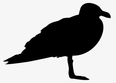 Seagull Profile Silhouette - Silhouette Of A Seagull, HD Png Download, Free Download