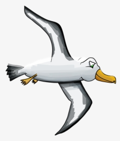 Albatross, Bird, Seagull, Petrel, Outlander, Cartoon - Albatross Cartoon Png, Transparent Png, Free Download
