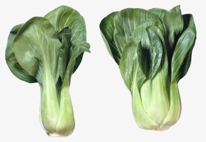Salad Png Image - Cabbage Varieties, Transparent Png, Free Download