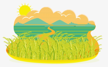 Grass-family - Rice Field Illustration Vector, HD Png Download, Free Download