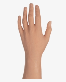 Transparent Male Hand Png, Png Download, Free Download