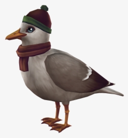 Star Stable Bird Png, Transparent Png, Free Download