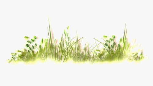 Wild Grass Thick Transparent - Transparent Download Wild Grasses Png, Png Download, Free Download