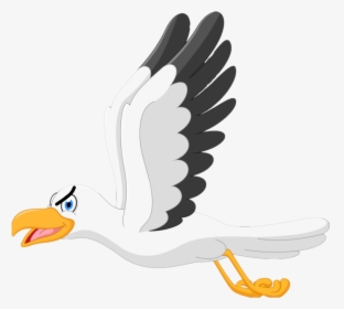 Cartoon Drawing Of A Seagull, HD Png Download, Free Download