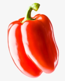 Red Pepper, HD Png Download, Free Download