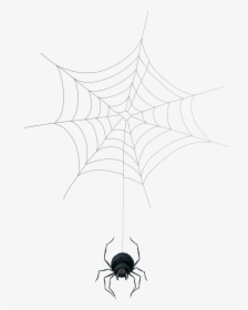 Spider Web Png - Spider Web, Transparent Png, Free Download