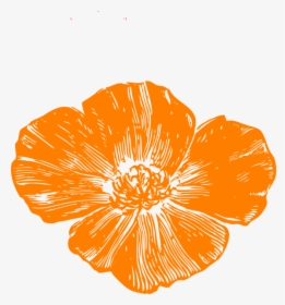Transparent Hawaiian Flower Vector Png - Orange Poppy Clip Art, Png Download, Free Download