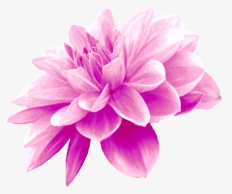 Pink,plant,flower - Light Blue Flower Png, Transparent Png, Free Download