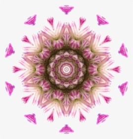 Pink,flower,symmetry - Does A Kaleidoscope Work, HD Png Download, Free Download