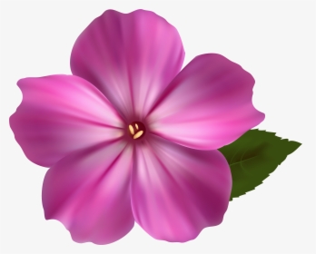 Flower Cliparts Png Pink - Colorful Flower Design Drawing, Transparent Png, Free Download