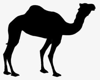 Dromedary Silhouette Clip Art Bactrian Camel Image - Camel Silhouette Png, Transparent Png, Free Download