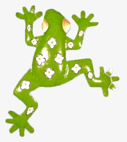 Metal Art Green Frog 20" - Shrub Frog, HD Png Download, Free Download