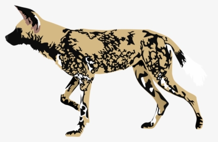African Wild Dog Dhole Clip Art - Cartoon African Wild Dog, HD Png Download, Free Download