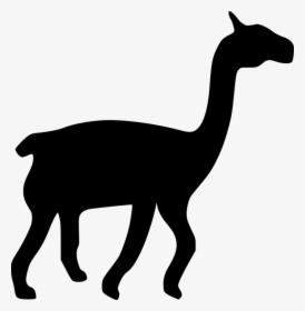 Llama .png Icon, Transparent Png, Free Download