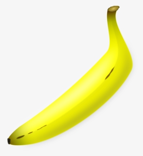Straight Banana Png, Transparent Png, Free Download