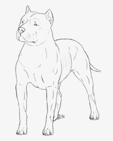 Mean Dog Drawing Crazywidow Info - Line Art, HD Png Download, Free Download