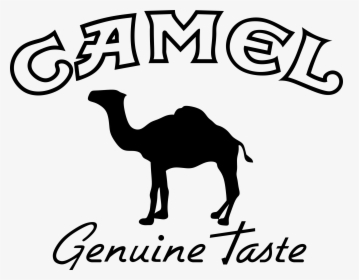 Camel Transparent Logo - Camel Logo Vector, HD Png Download, Free Download