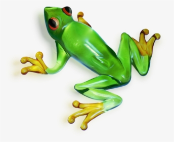 Green Frog Png - Transparent Background Frogs, Png Download, Free Download