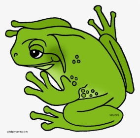 Green Frog Clipart Cool Frog - Green Tree Frog Clipart, HD Png Download, Free Download