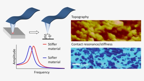 Complementary Mechanical Mapping With Afm-ir - Contact Resonance Afm, HD Png Download, Free Download