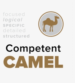 Transparent Camels Png - Camel Monkey Lion Turtle, Png Download, Free Download