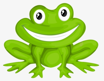 Green Frog Cartoon - Frog Sunglasses, HD Png Download - kindpng