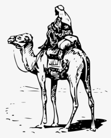 Camel With Rider Svg Clip Arts - Camel Clip Art, HD Png Download, Free Download