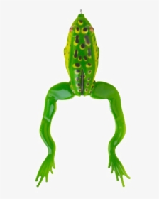 Jumping Frog Png Transparent Image - Frog Jumping Transparent, Png Download, Free Download