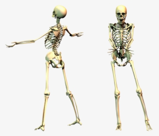 Spooky Skeleton Png Image - Spooky Skeleton Transparent, Png Download, Free Download