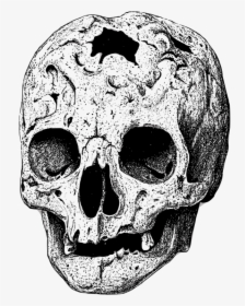 Head,skeleton,skull - Broken Skull Transparent Png, Png Download, Free Download