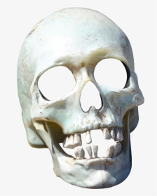 Skull Png Image Free Download - Transparent Skull Png, Png Download, Free Download