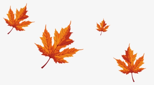 Maple Leaf Red Maple - Autumn Leaves Vector Png, Transparent Png, Free Download