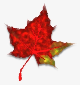 Red Fall Leaves, HD Png Download, Free Download