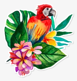 #tropical Guacamaya🌸 - Guacamaya Png, Transparent Png, Free Download