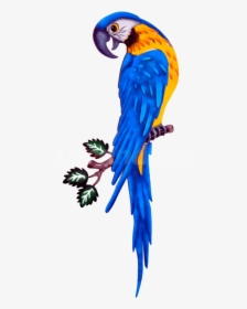 Guacamaya Azul Decorativa - Macaw Png, Transparent Png, Free Download