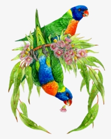 Transparent Guacamaya Png, Png Download, Free Download