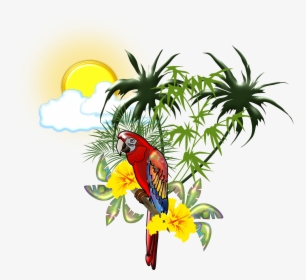 Tropical Guacamaya Hd , Png Download - Guacamaya Tropical, Transparent Png, Free Download