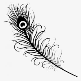 Medium Size Of Coloring Page - Simple Peacock Feather Drawing, HD Png Download, Free Download