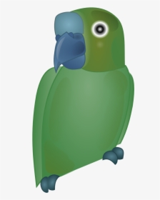 Bird1 - Parrot, HD Png Download, Free Download