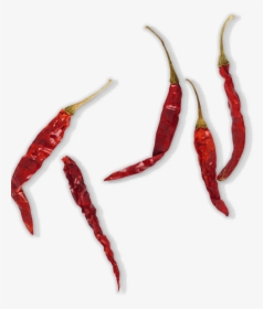 Dried Red Chilli Png , Transparent Cartoons - Dry Red Chili Png, Png Download, Free Download